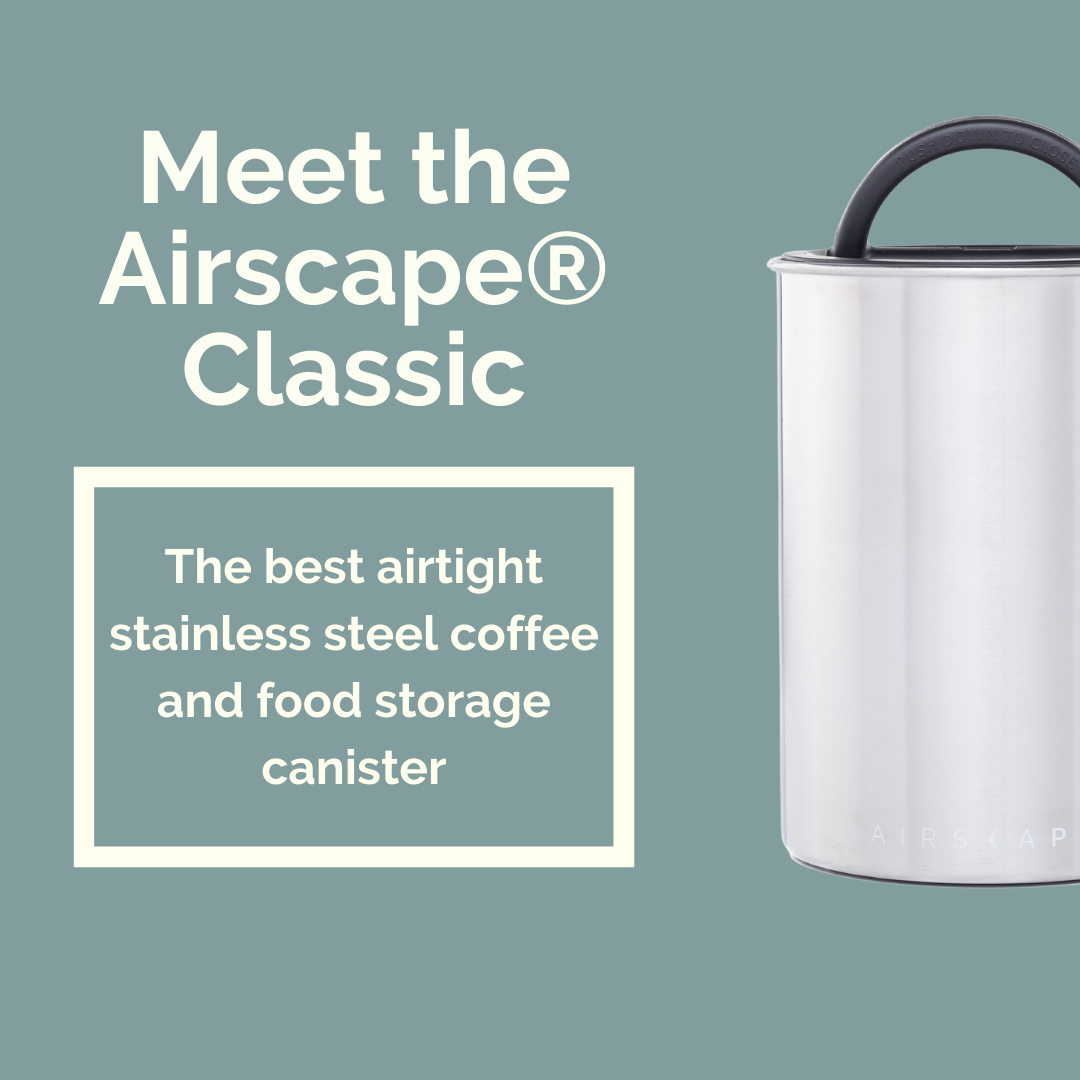 Airscape Coffee Canister - 3 Arrows Coffee